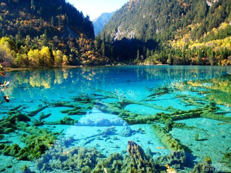Cửu Trại Câu nổi
tiếng với nhiều hồ và thác nước